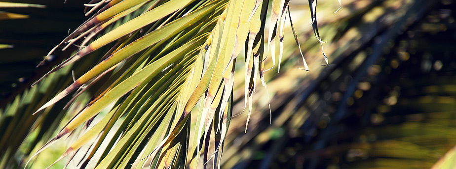 DDOS在线攻击平台