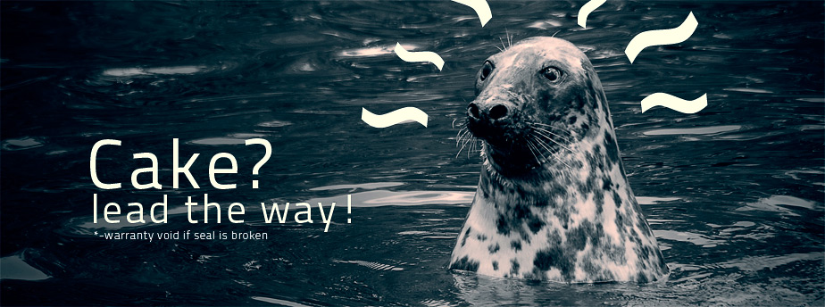 DDOS在线攻击平台